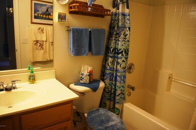 guest bath 2