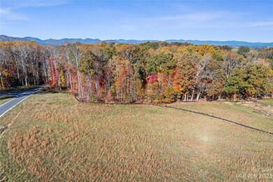 30 Scott Meadows Dr, Asheville, NC 28806 - photo 5