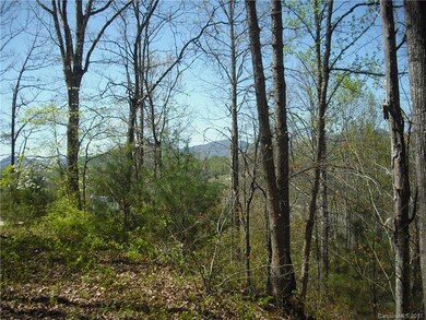 16 Carr Dr unit LOT 6, Leicester, NC 28748 - photo 3