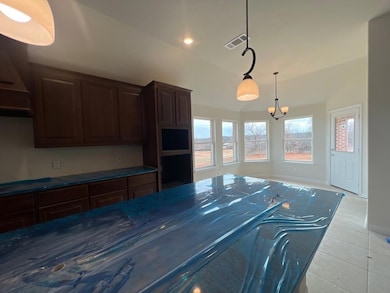 1028 Northern Oaks Ct, Springtown, TX 76082 - photo 5