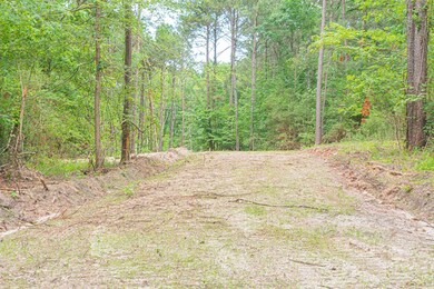 3 A375 tract 2 Moore Farm Rd, Zavalla, TX 75980 - photo 6