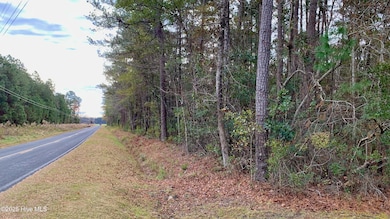 0 Bell Point Rd, Merritt, NC 28556 - photo 5