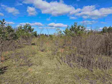 1715 Ellinger Rd, Alanson, MI 49706 - photo 7