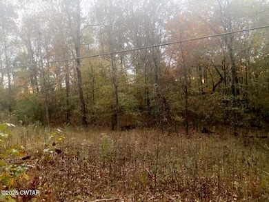 0 Natchez Trace Dr, Lexington, TN 38351 - photo 5