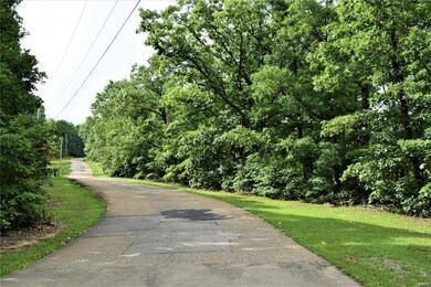 39 Ridge Top Dr, Farmington, MO 63640 - photo 6