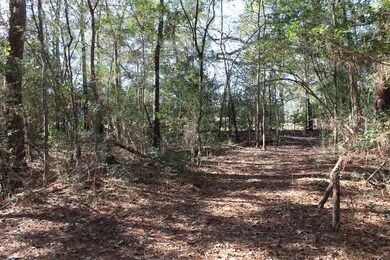 Small clearing otherwise the rest of the lot is heavily wooded
