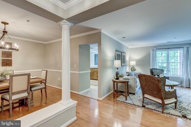 12011 Tralee Rd unit 406, Lutherville Timonium, MD 21093 - photo 2