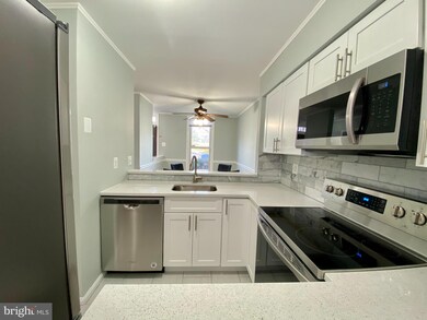 13846 Carter House Way, Silver Spring, MD 20904 - photo 6