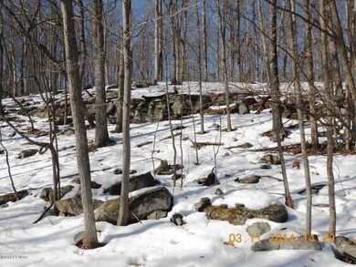 0 Mountain View Rd, Lackawaxen Township, PA 18425 - photo 2