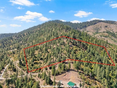 4139 N Deer Lake Rd unit LOT 5, Loon Lake, WA 99148 - photo 2