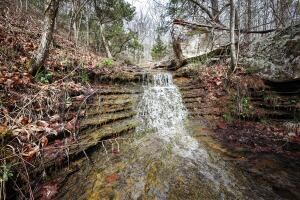 13.14 Acres, Stone County 9