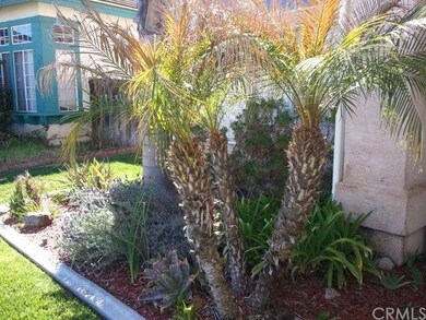 TROPICAL FRONT LANDSCAPING