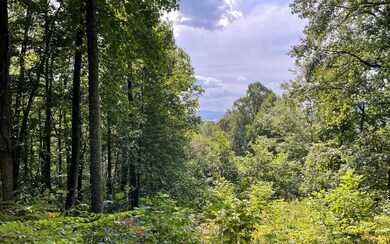 LOT 30 High Meadows, Hayesville, NC 28904 - photo 2