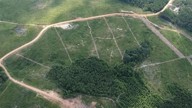 210 Ridge Rd, Seale, AL 36875 - photo 2