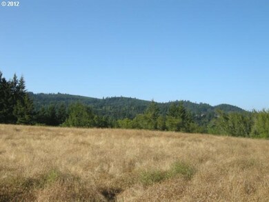 13790 SW Lambert Ln, Gaston, OR 97119 - photo 5