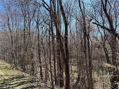 0 Nc Highway 67 unit 1174645, East Bend, NC 27018 - photo 5