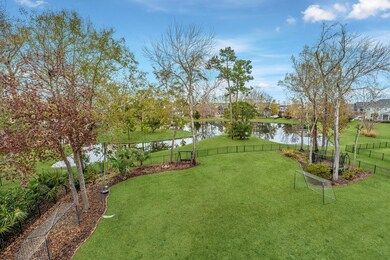 Incredible back yard!