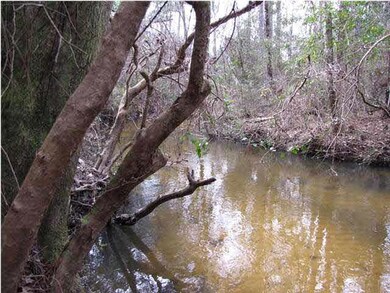 Sam Carver Rd Creek 2