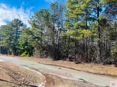 0 Trexler Rd, Texarkana, TX 75501 - photo 4