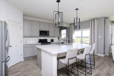 19123 63rd Ave N, Corcoran, MN 55340 - photo 4