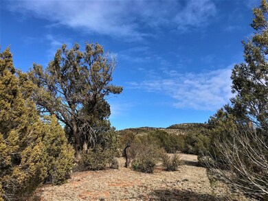 5354 N Forest Line Rd, Ash Fork, AZ 86320 - photo 5