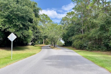 26.76 Acre Summer Creek - West Old Mill, Crestview, FL 32539 - photo 2