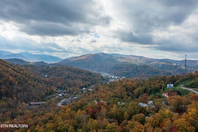 homesandvideos aerials-13350