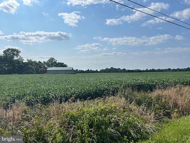 842 Salem Quinton Rd, Salem, NJ 08079 - photo 6