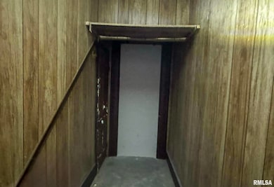 230 E Chestnut St, Canton, IL 61520 - photo 2