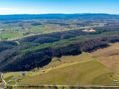 Gap of Ridge Rd, Rural Retreat, VA 24368 - photo 4