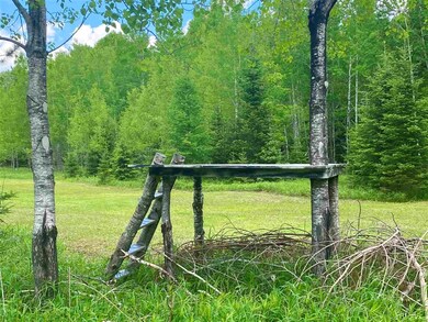 0 Byers Rd, Deerbrook, WI 54424 - photo 5