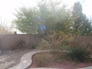 BACK YARD2