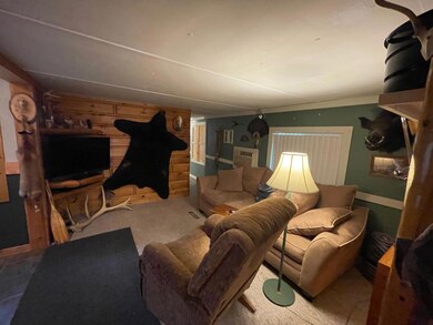 2225 S Leisure Loop, Baldwin, MI 49304 - photo 4