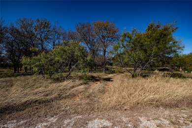Lot 195 Grand Harbor Blvd, Chico, TX 76431 - photo 5