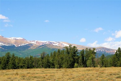 0 Willow Creek Ln unit S1018867, Fairplay, CO 80440 - photo 3