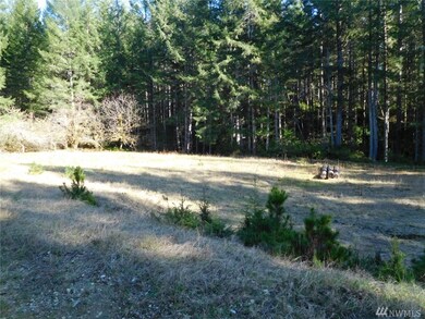 721 E Vine Maple Ln, Union, WA 98592 - photo 5