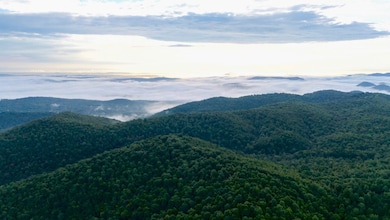 0000 County Road 6061, Flippin, AR 72634 - photo 3