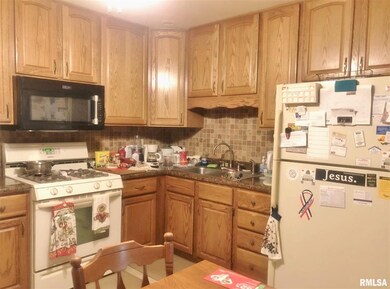 115 Carter Ln, Lincoln, IL 62656 - photo 5