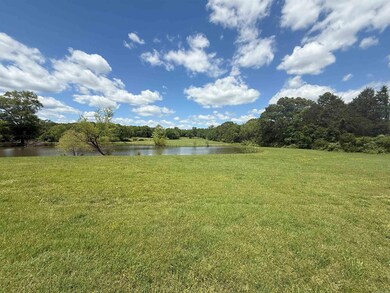 41 Heffington Cemetery Rd, Enola, AR 72047 - photo 4