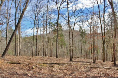 19 Haynes Knob Rd, Somerset, KY 42501 - photo 6