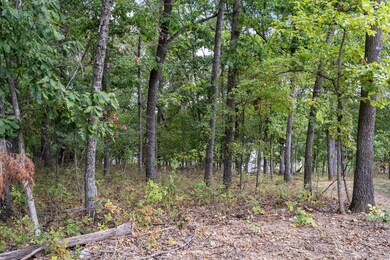 Table Rock Lake Build Site