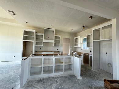 3789 Pine Rd, Poolville, TX 76487 - photo 2