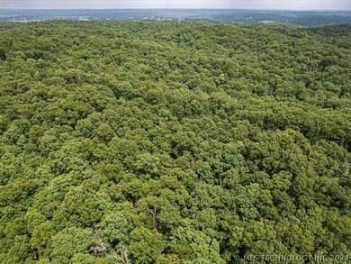 6375 Red Corn Ridge Rd, Proctor, OK 74457 - photo 5