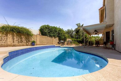 35thBack Yard