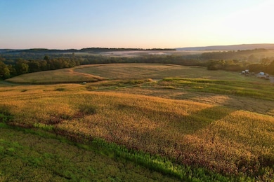 10 Dot Mor Ln, Lake Lynn, PA 15451 - photo 5