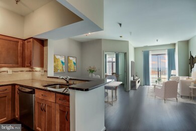 The Charleston unit PH10, Arlington, VA 22201 - photo 3