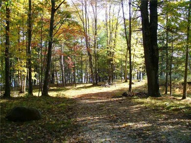 Land/Lot.