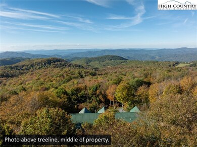 123 Briarwood Ln, Beech Mountain, NC 28604 - photo 4