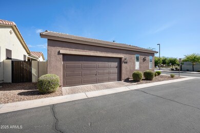 4646 E Maplewood St, Gilbert, AZ 85297 - photo 3