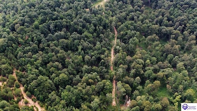 Tract 13 Cook Ln, Cromwell, KY 42333 - photo 4